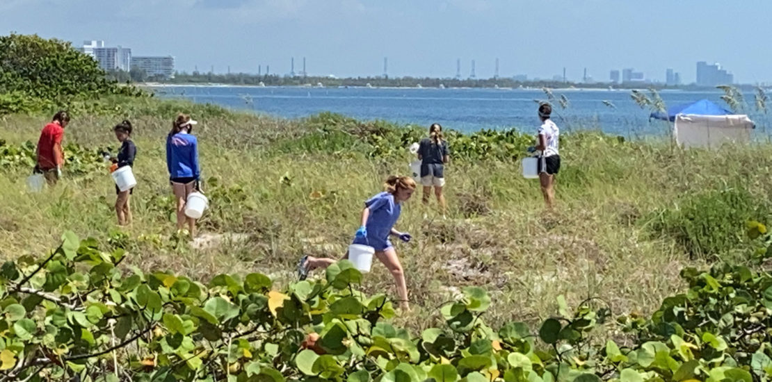Cleanup Key Biscayne