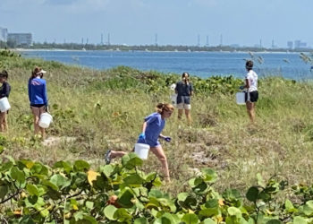 Cleanup Key Biscayne