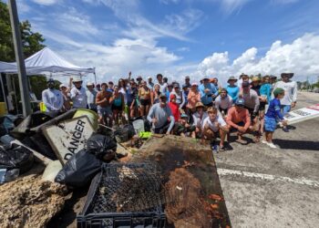 Mangrove Cleanup at Crandon Park North