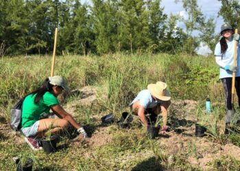 Oct 15, 2022 | Frost Science (MUVE) and Miami Waterkeeper Volunteer Day