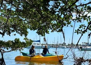 Miami Waterkeeper Kayak Cleanup
