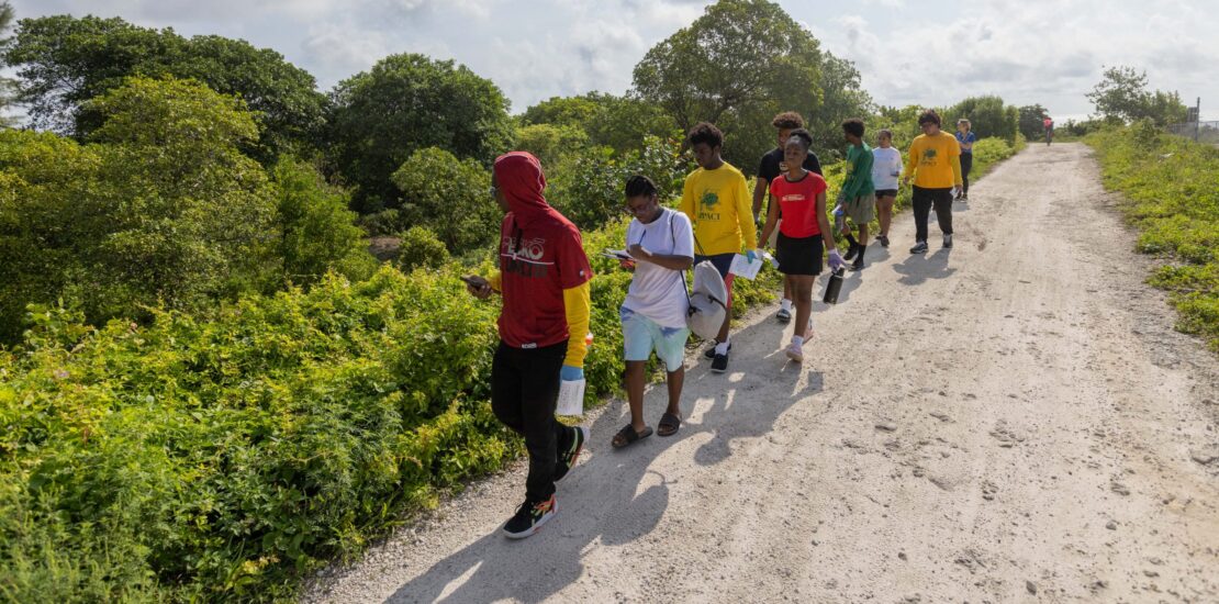 APR 26 | MUVE City Nature Challenge