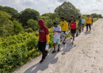 APR 26 | MUVE City Nature Challenge