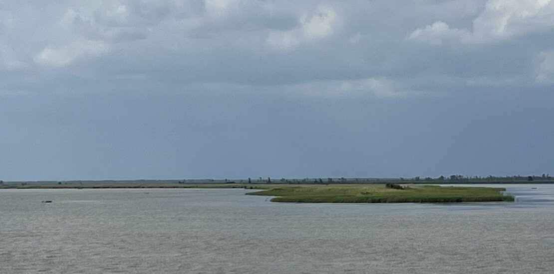 Water in Biscayne Bay