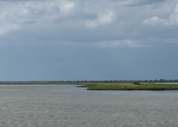 Water in Biscayne Bay